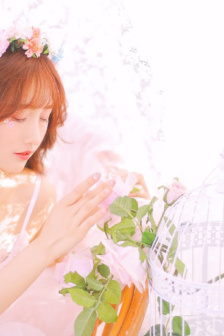 真三国无双电影版在线观看